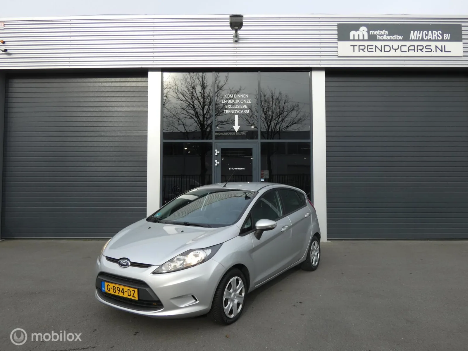 Ford Fiesta (2012) — foto 1