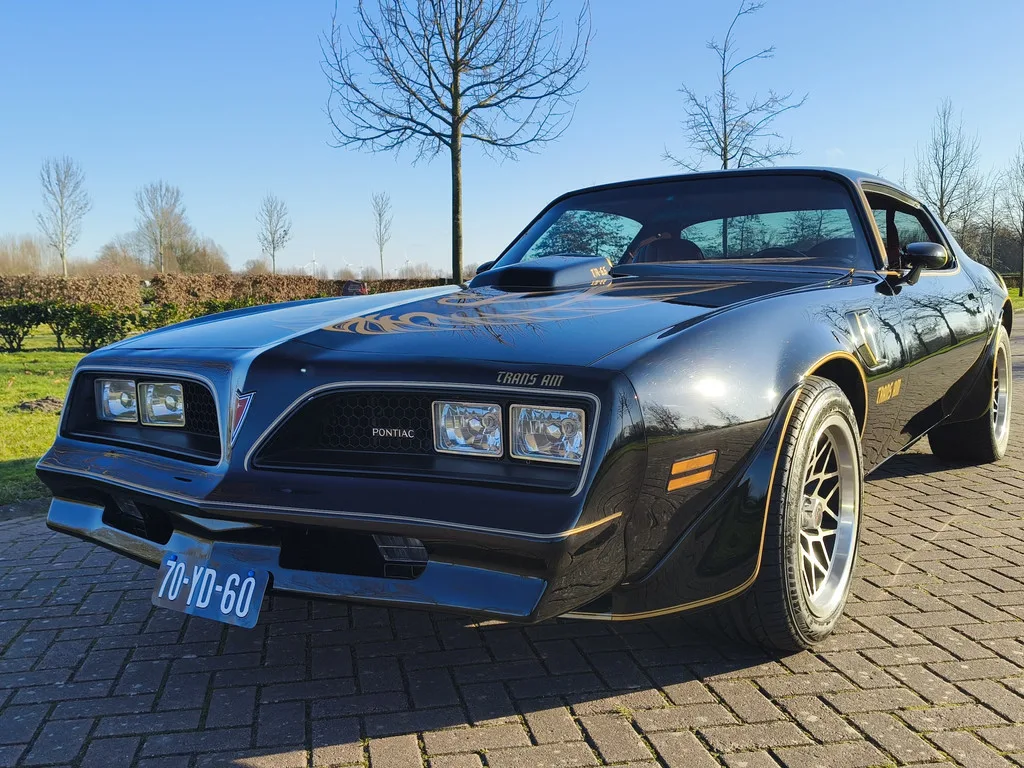 Pontiac Firebird (1977) — foto 1