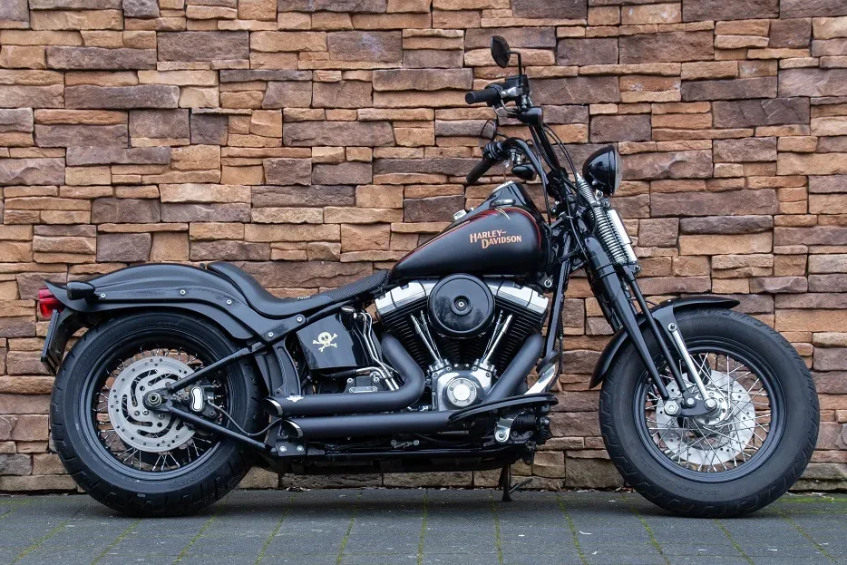Harley-Davidson Cross Bones (2009) — foto 1