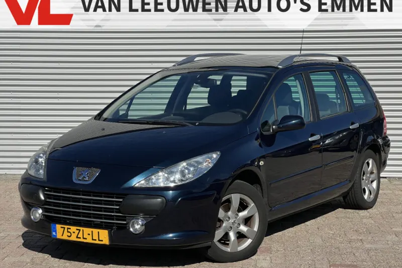 Peugeot 307 (2008)