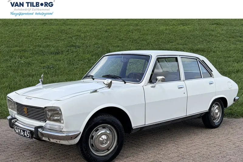 Peugeot 504 (1976)