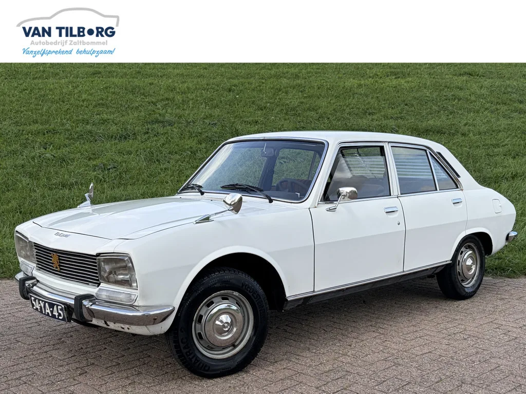 Peugeot 504 (1976) — foto 1
