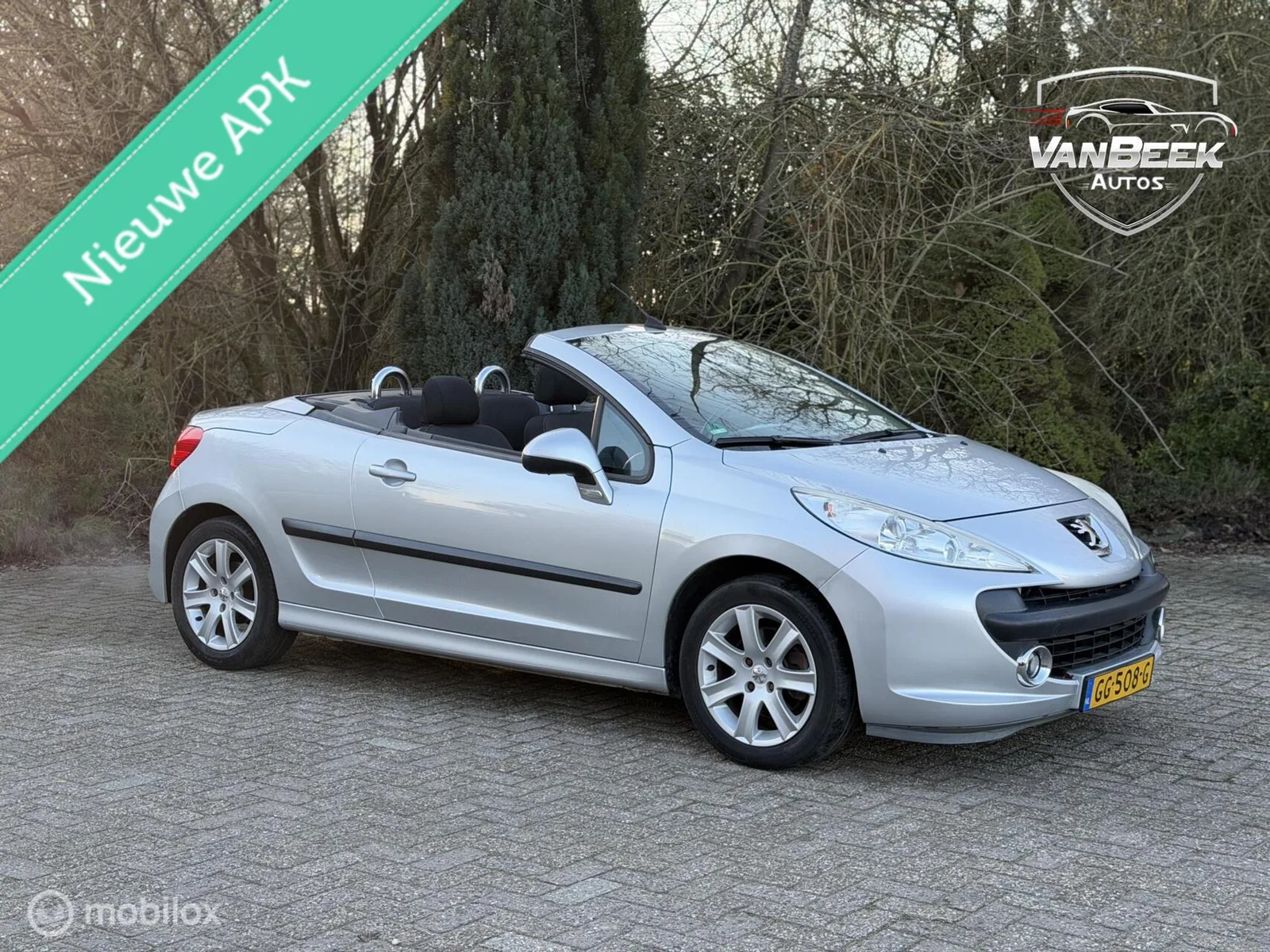 Peugeot 207 (2007) — foto 1