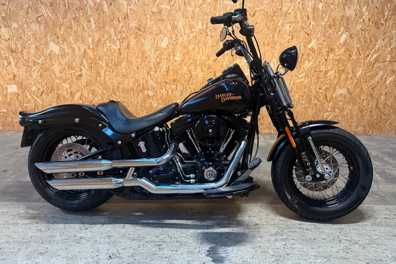 Harley-Davidson 96 FLSTSB Cross Bones (2008)