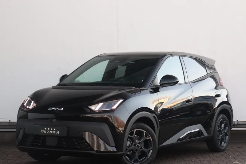 BYD Dolphin Surf (2026)
