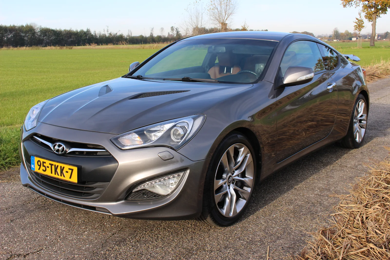 Hyundai Genesis (0) — foto 1