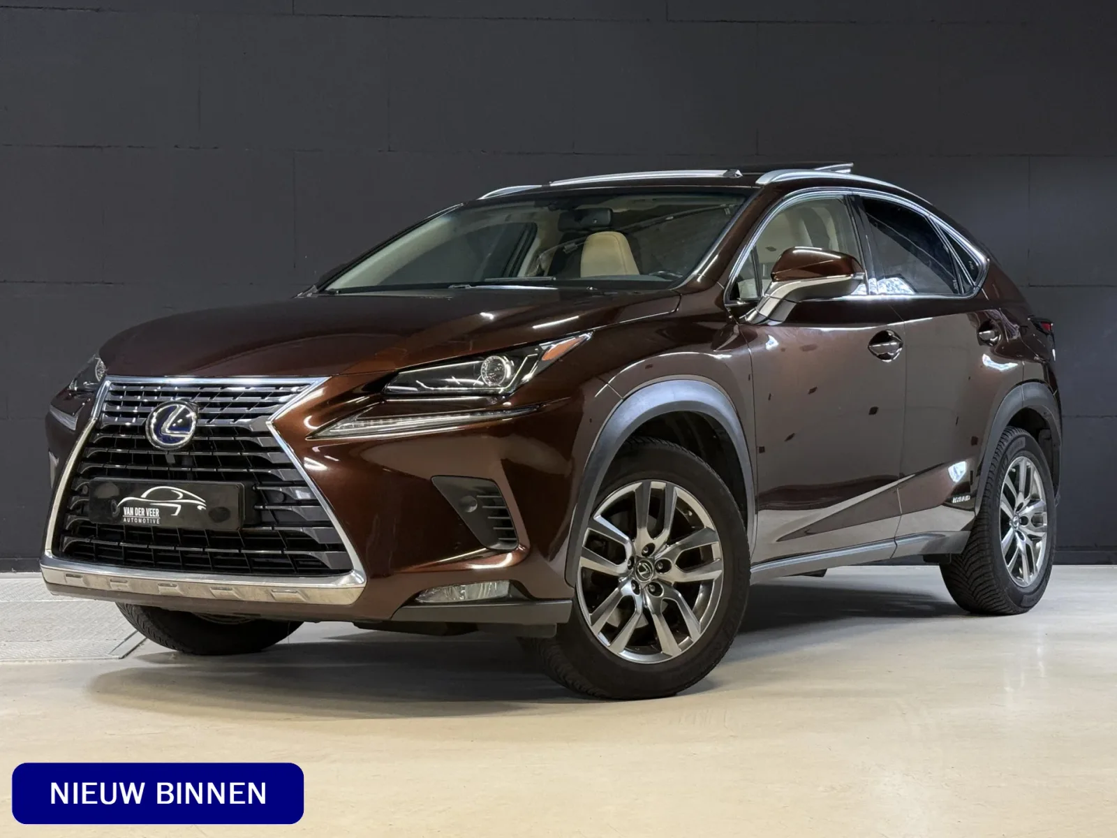 Lexus NX (2018) — foto 1