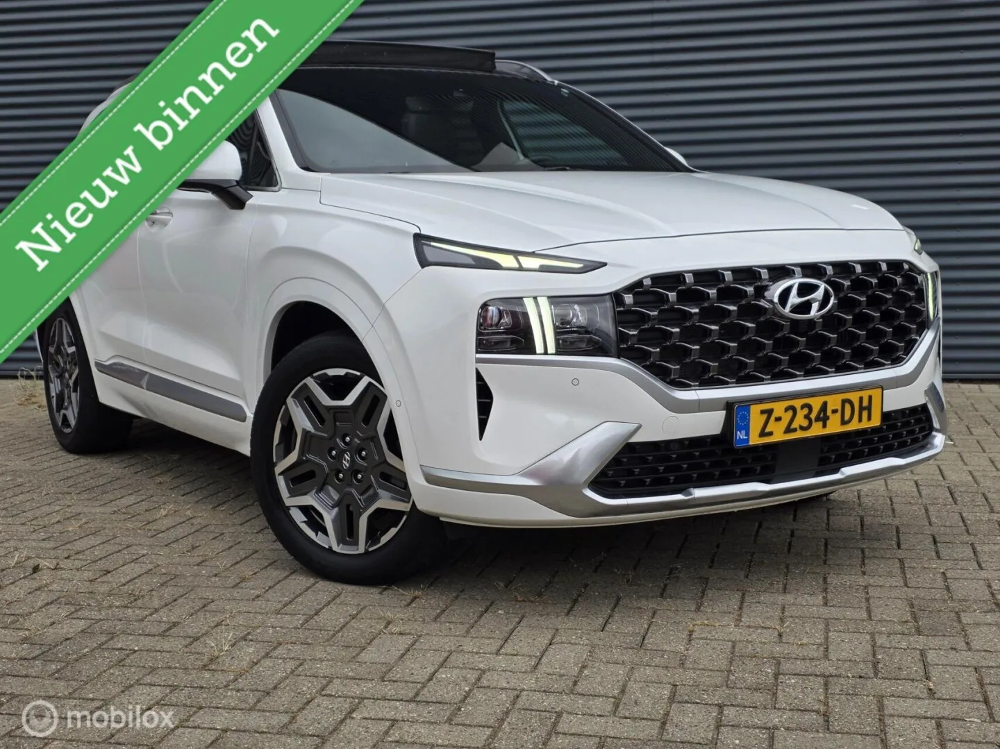 Hyundai Santa Fe (2024) — foto 1