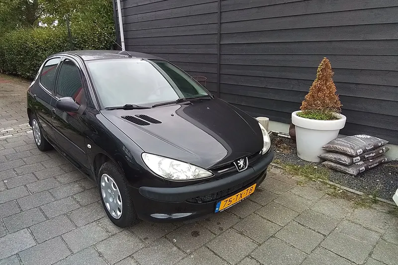 Peugeot 206 (2007)
