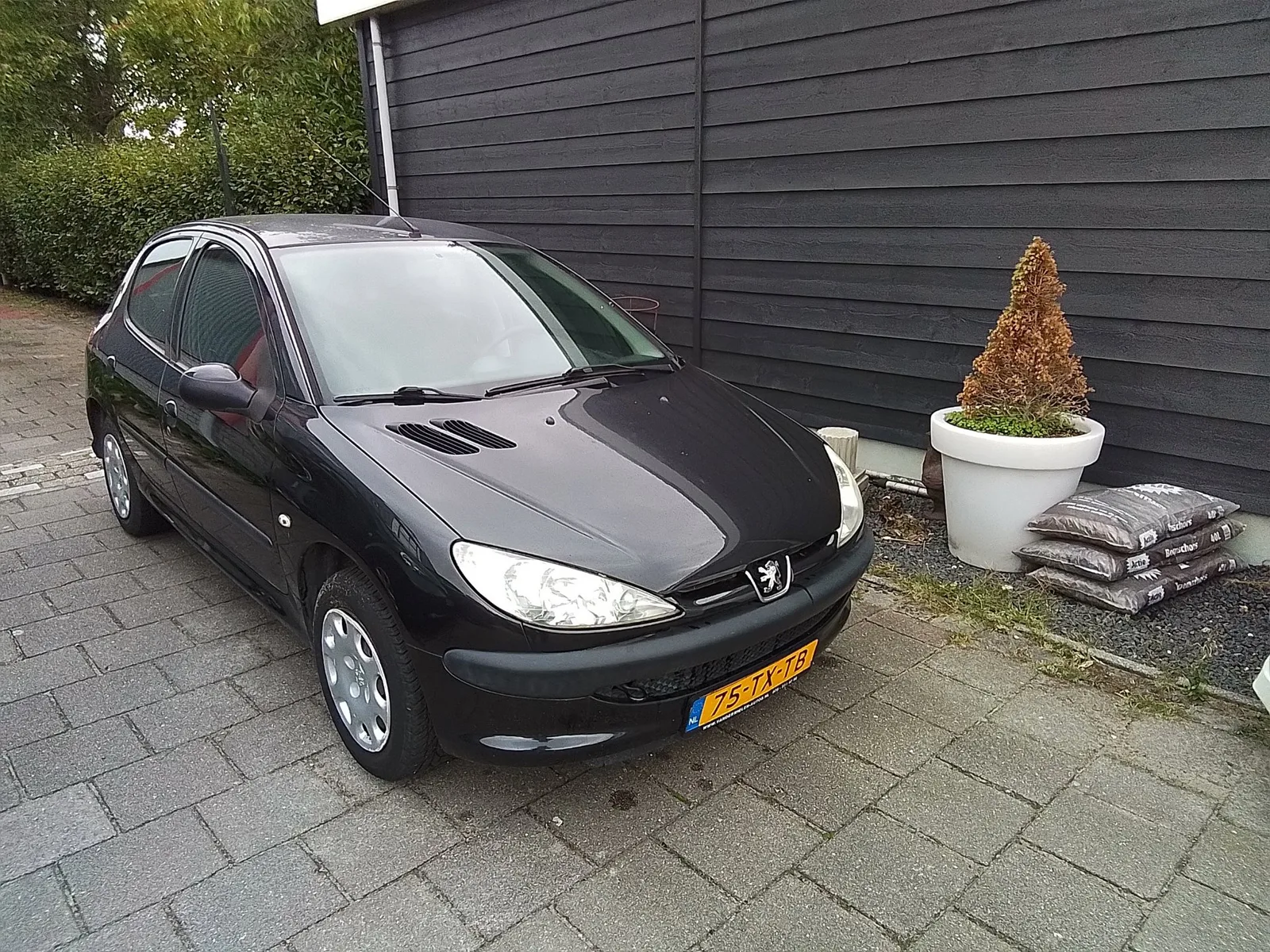 Peugeot 206 (2007) — foto 1