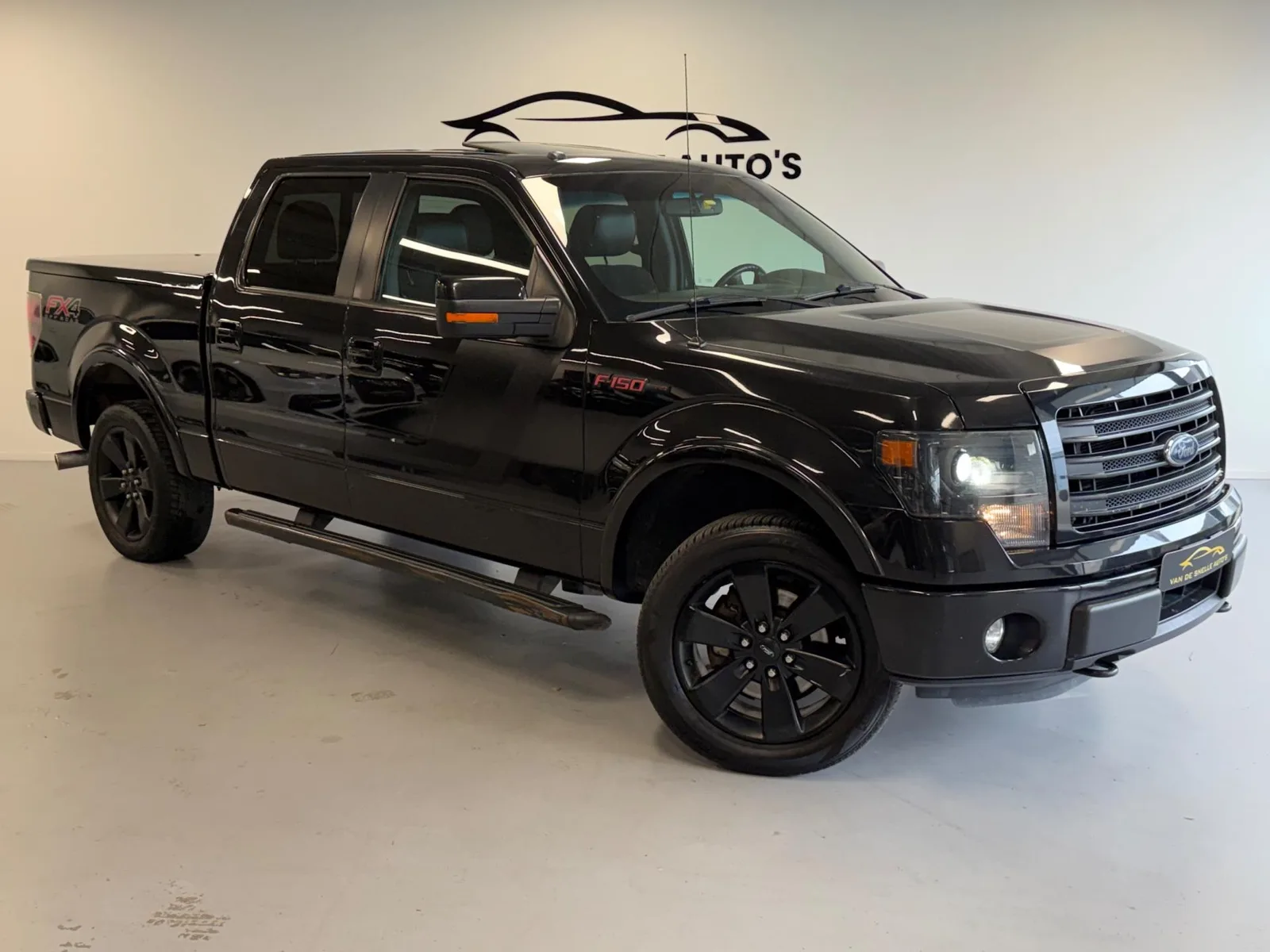 Ford F-150 (2015) — foto 1