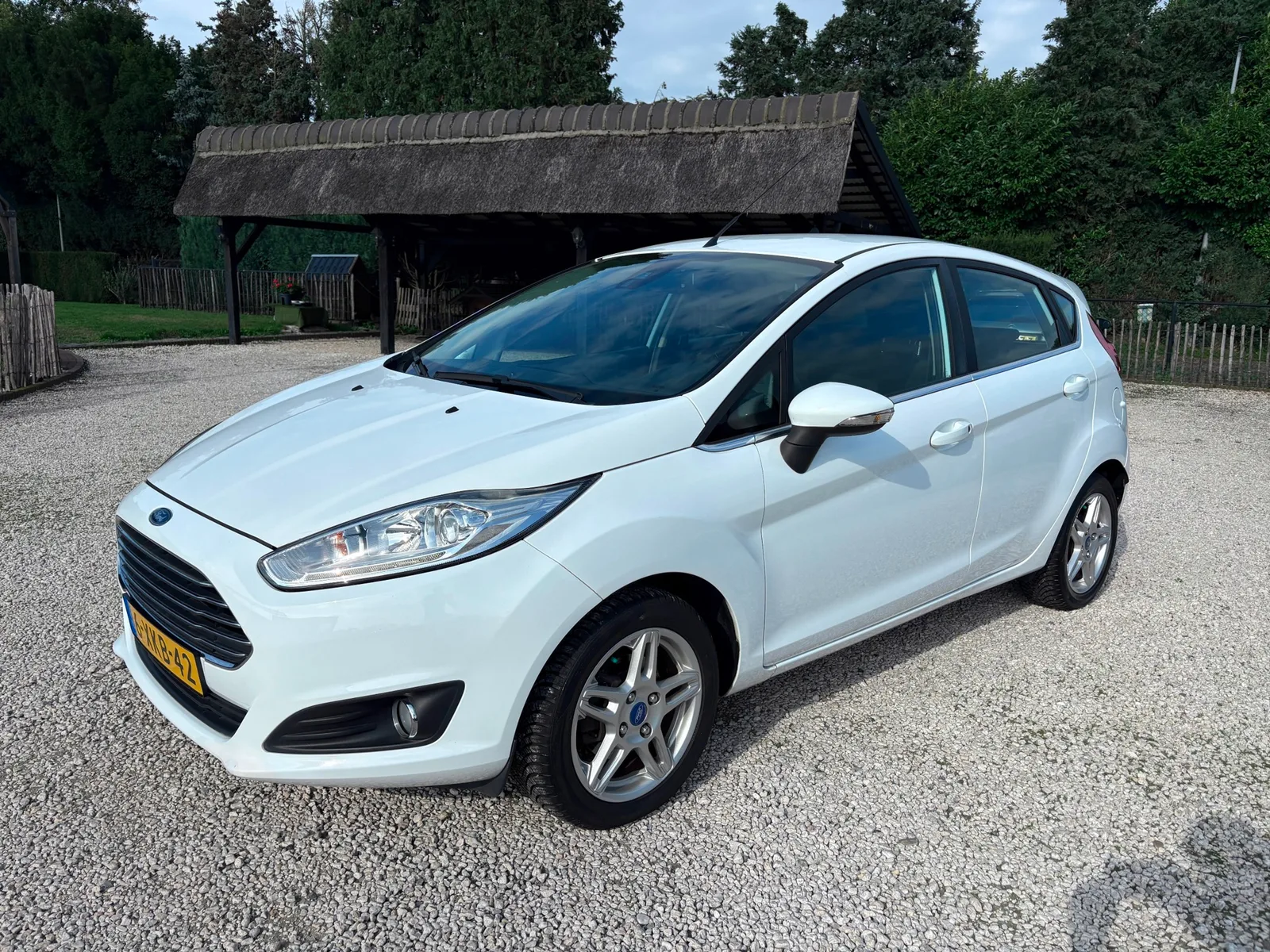 Ford Fiesta (2014) — foto 1
