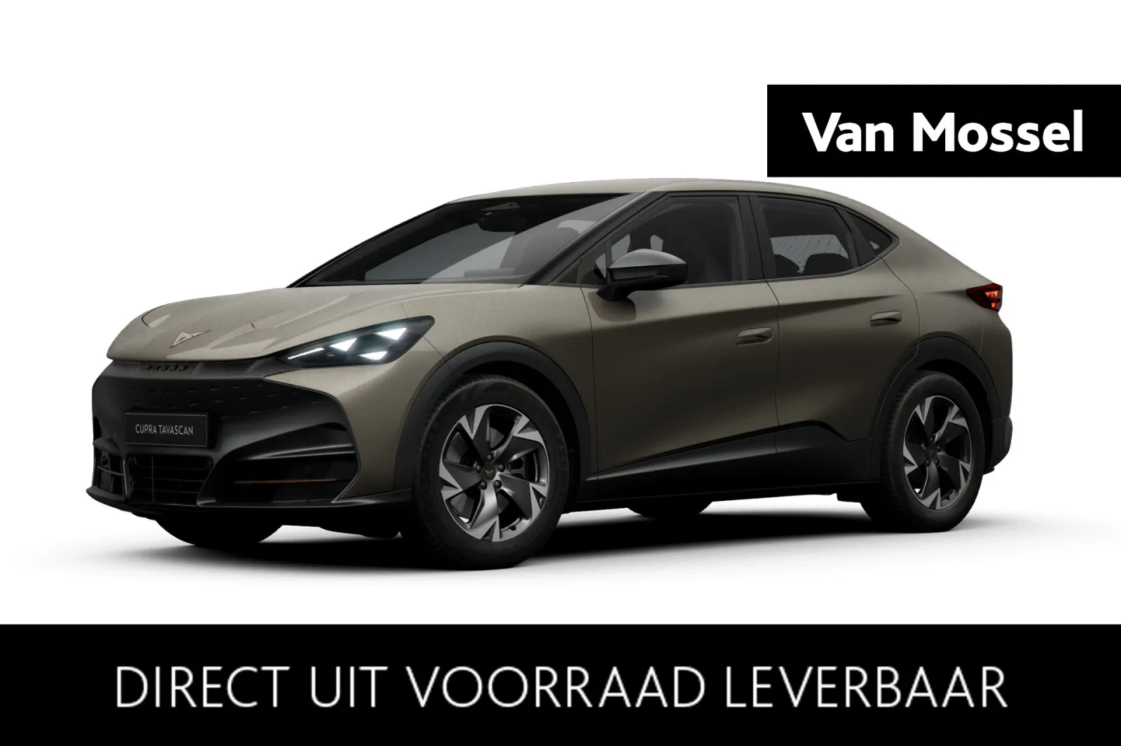 CUPRA Tavascan (2026) — foto 1