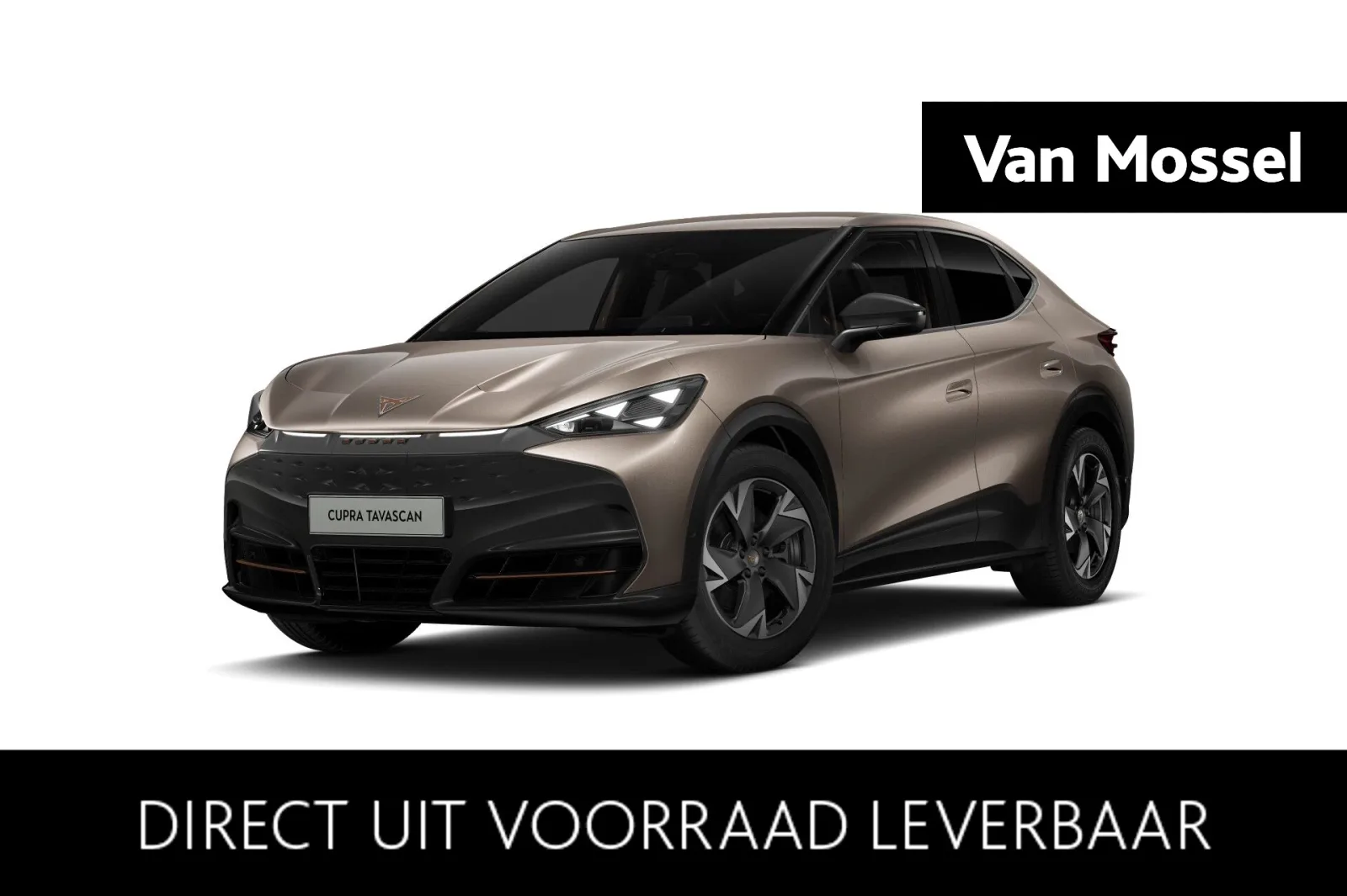 CUPRA Tavascan (2026) — foto 1