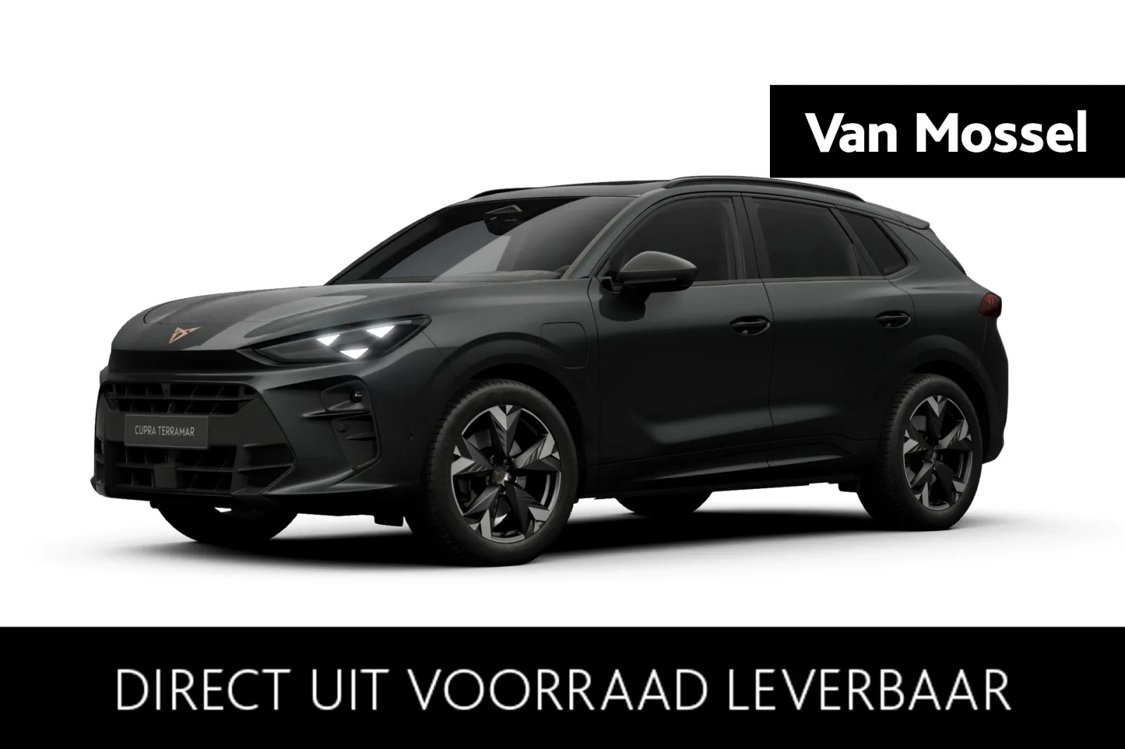 CUPRA Terramar (2026) — foto 1
