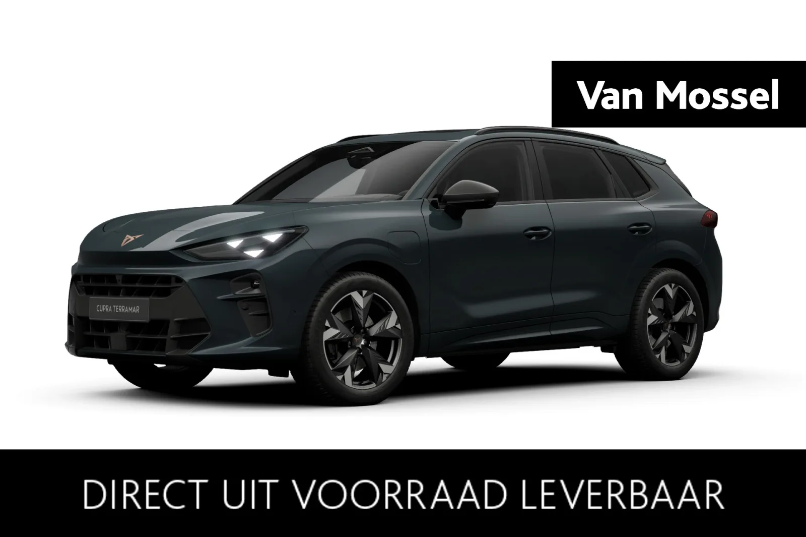 CUPRA Terramar (2026) — foto 1