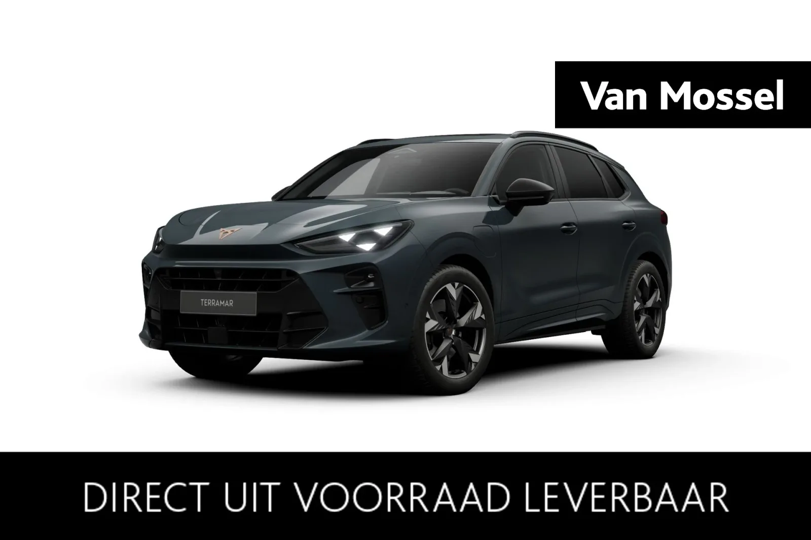 CUPRA Terramar (2026) — foto 1