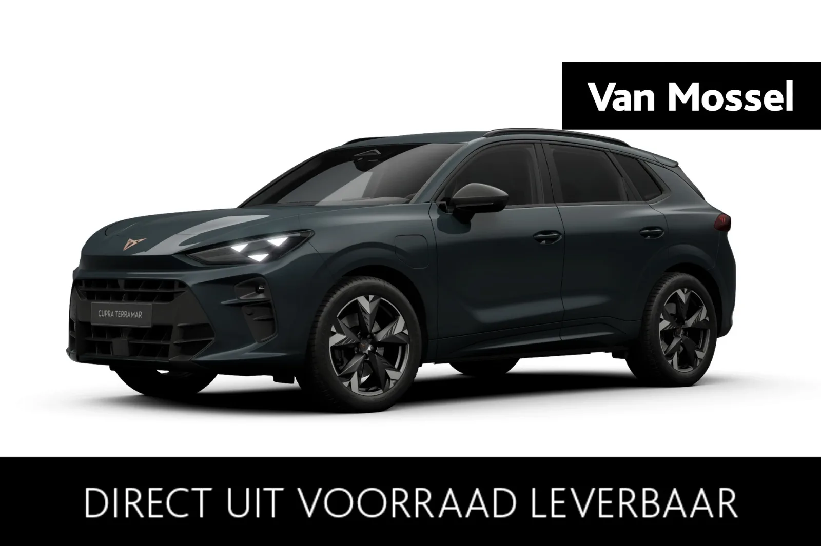 CUPRA Terramar (2026) — foto 1