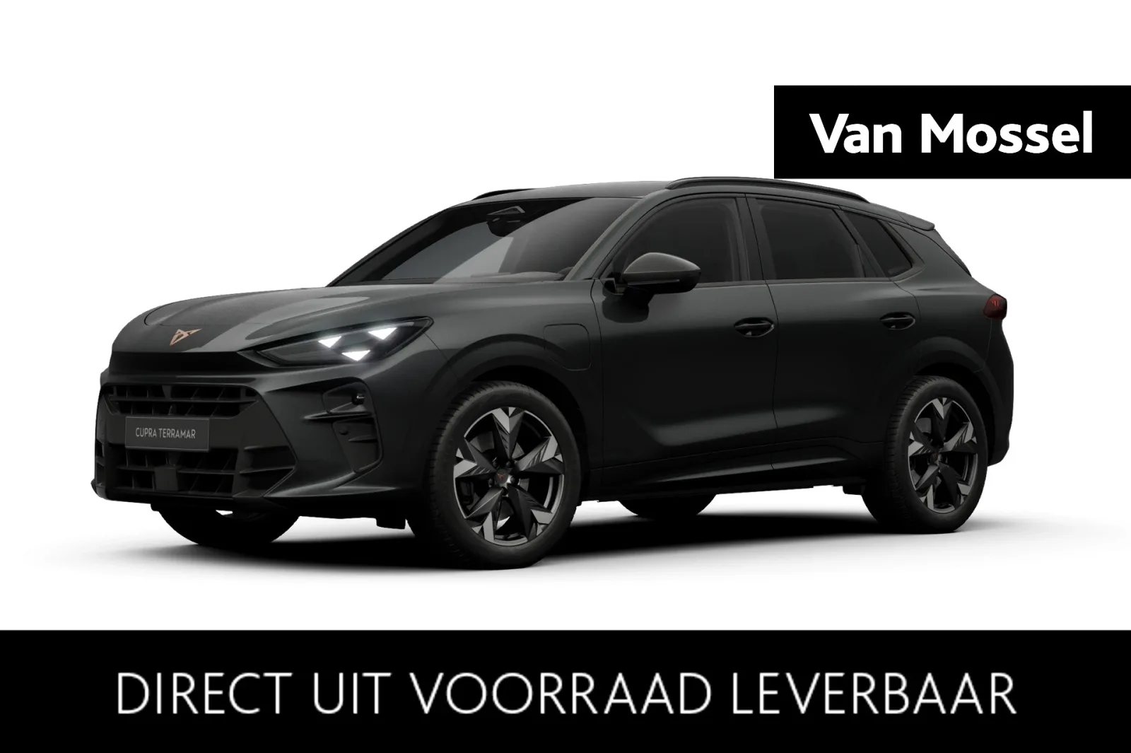CUPRA Terramar (2026) — foto 1