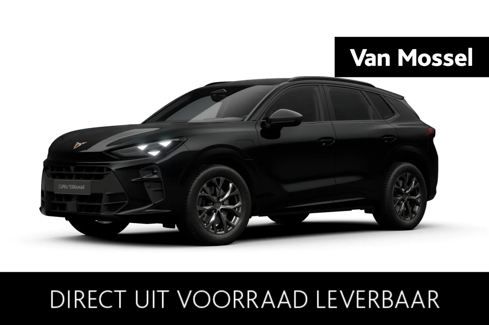 CUPRA Terramar (2026) — foto 1
