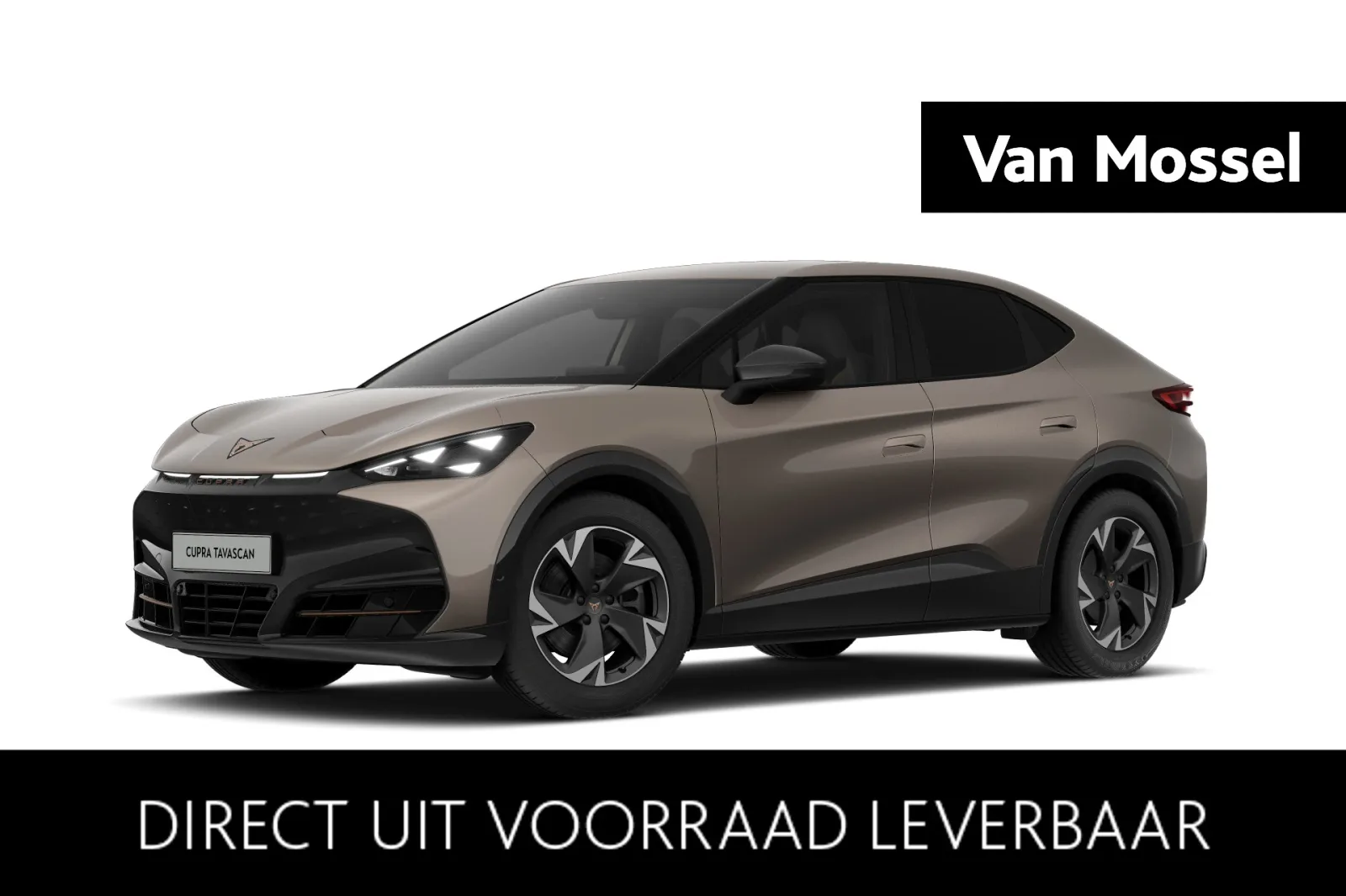 CUPRA Tavascan (2026) — foto 1