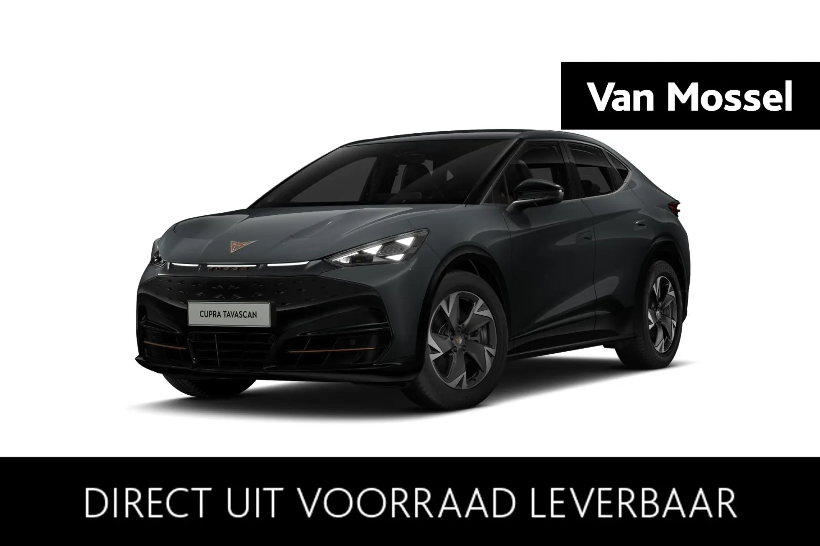 CUPRA Tavascan (2026) — foto 1
