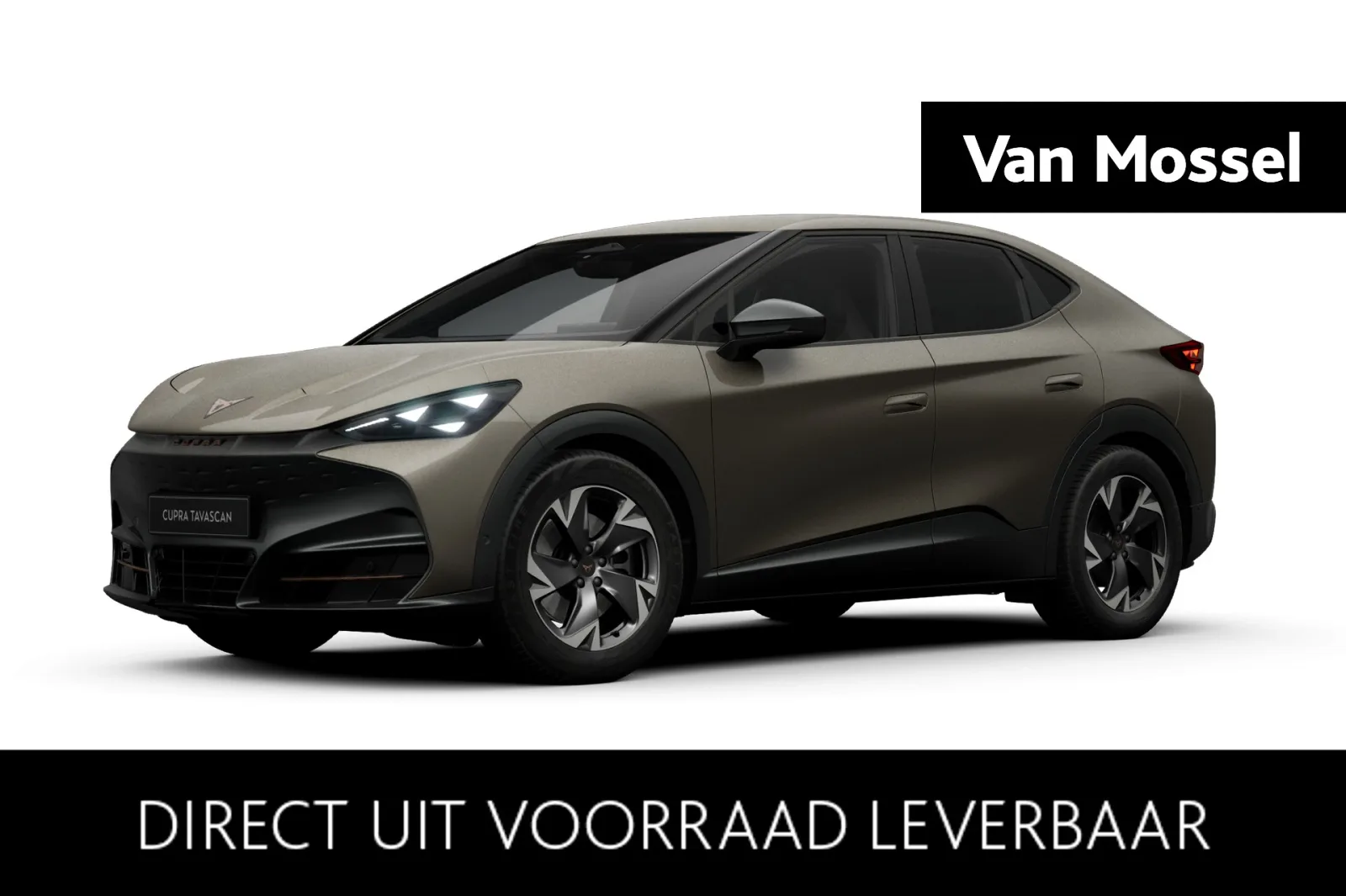 CUPRA Tavascan (2026) — foto 1