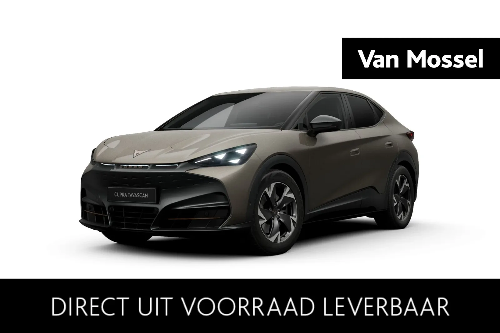 CUPRA Tavascan (2026) — foto 1