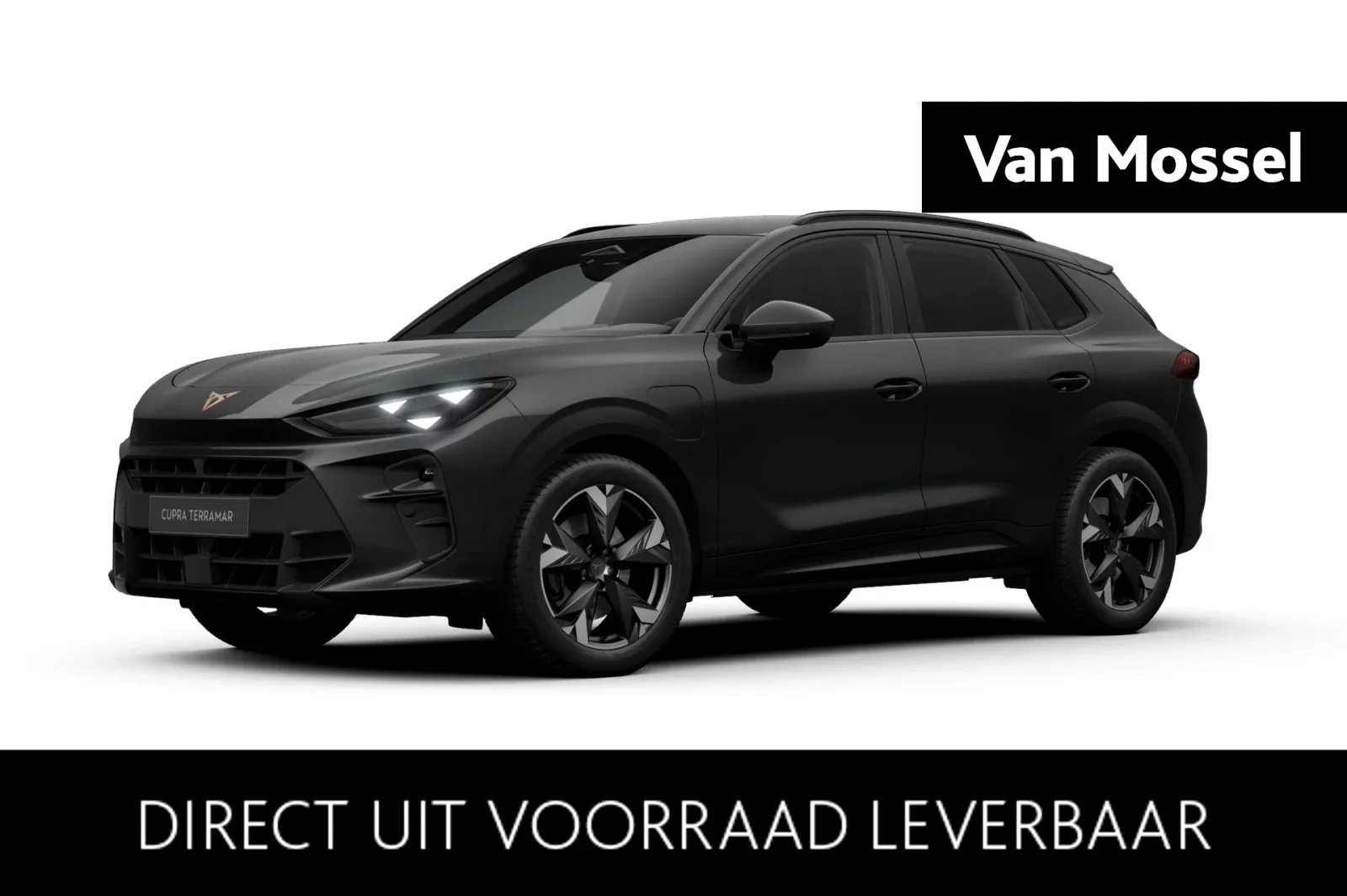 CUPRA Terramar (2026) — foto 1