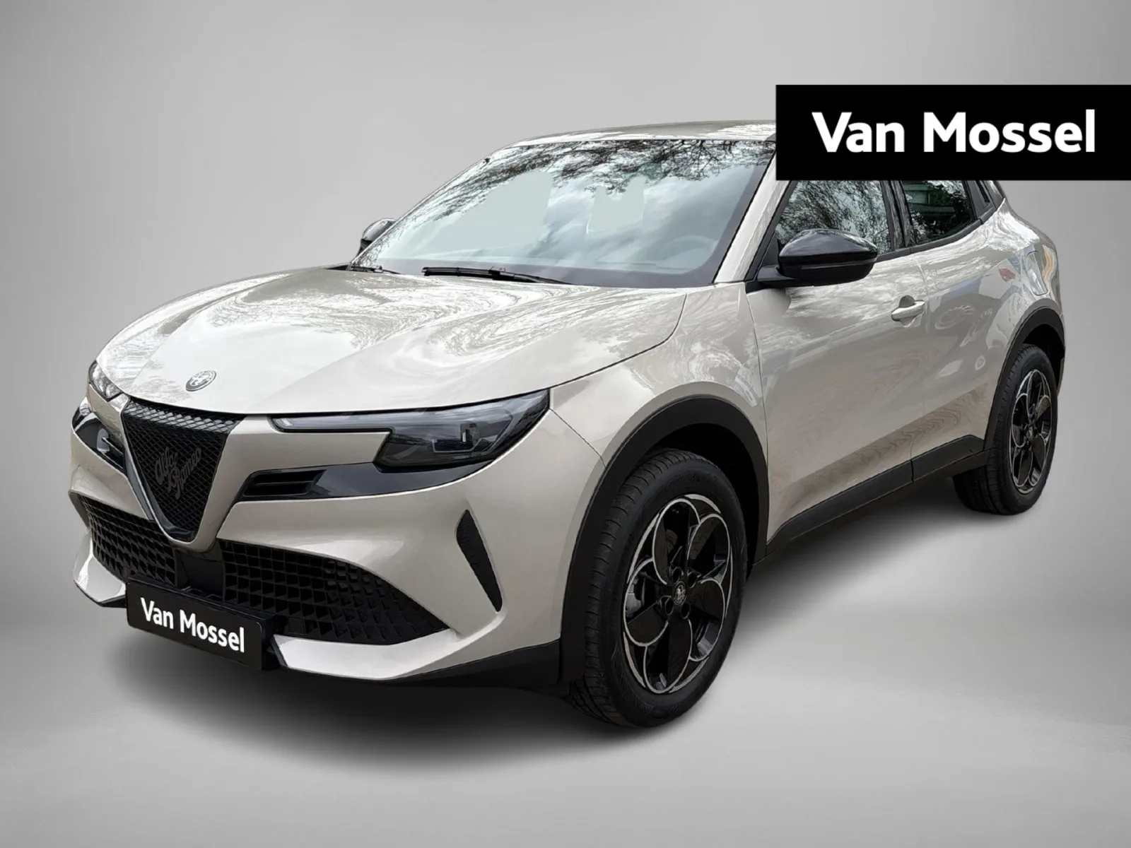 Alfa Romeo Junior (2025) — foto 1