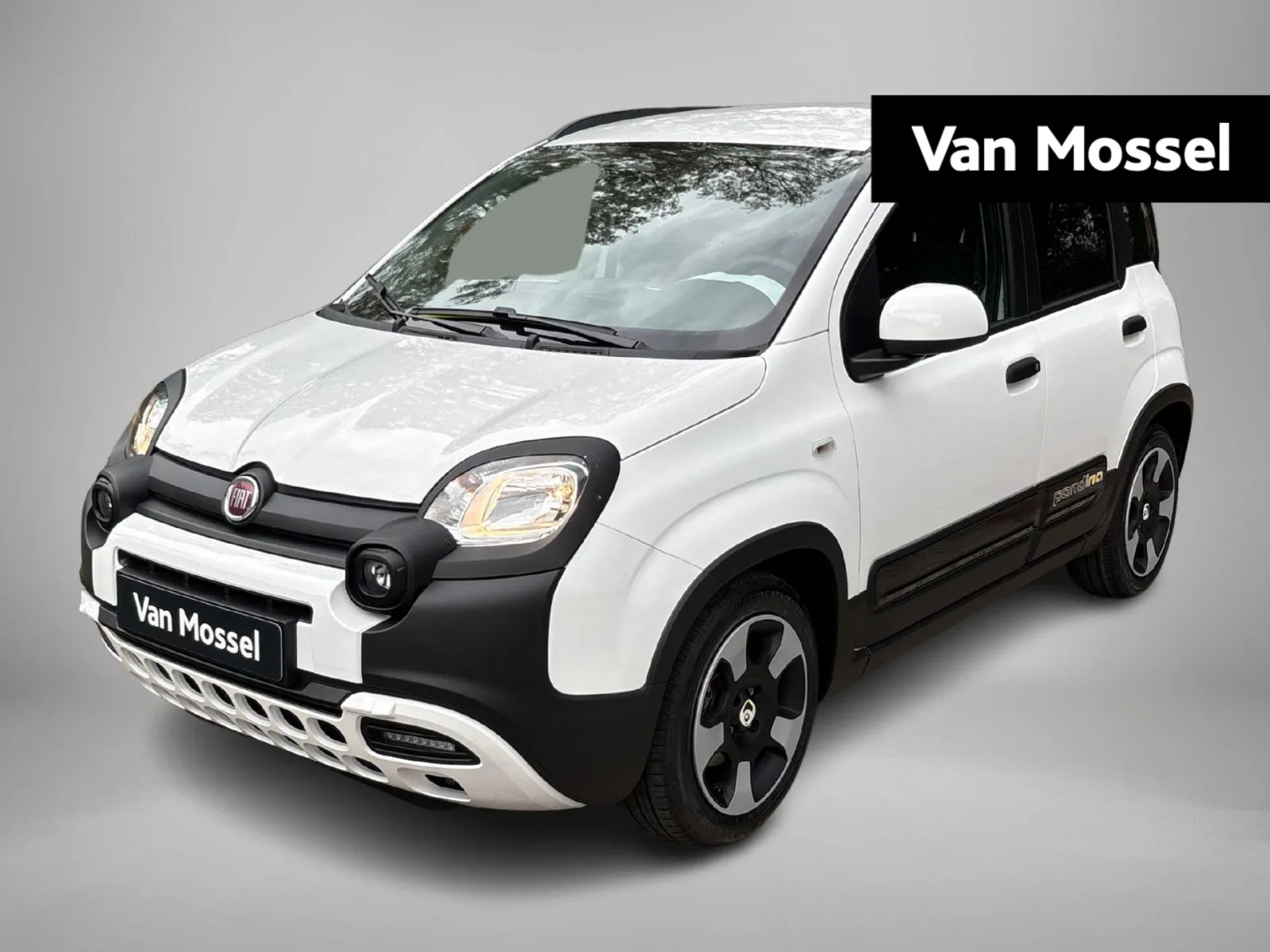Fiat Pandina (2027) — foto 1