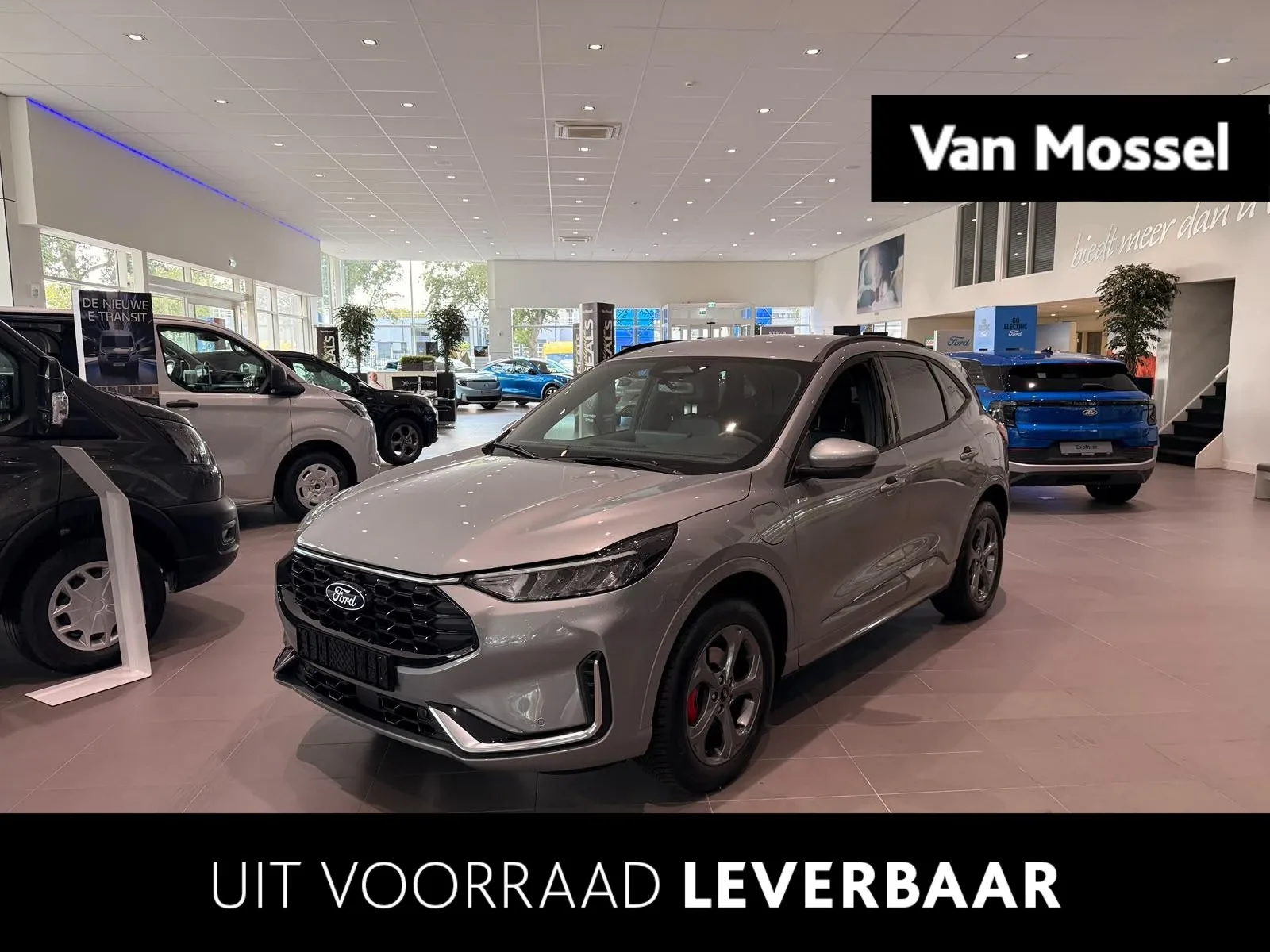 Ford Kuga (2026) — foto 1