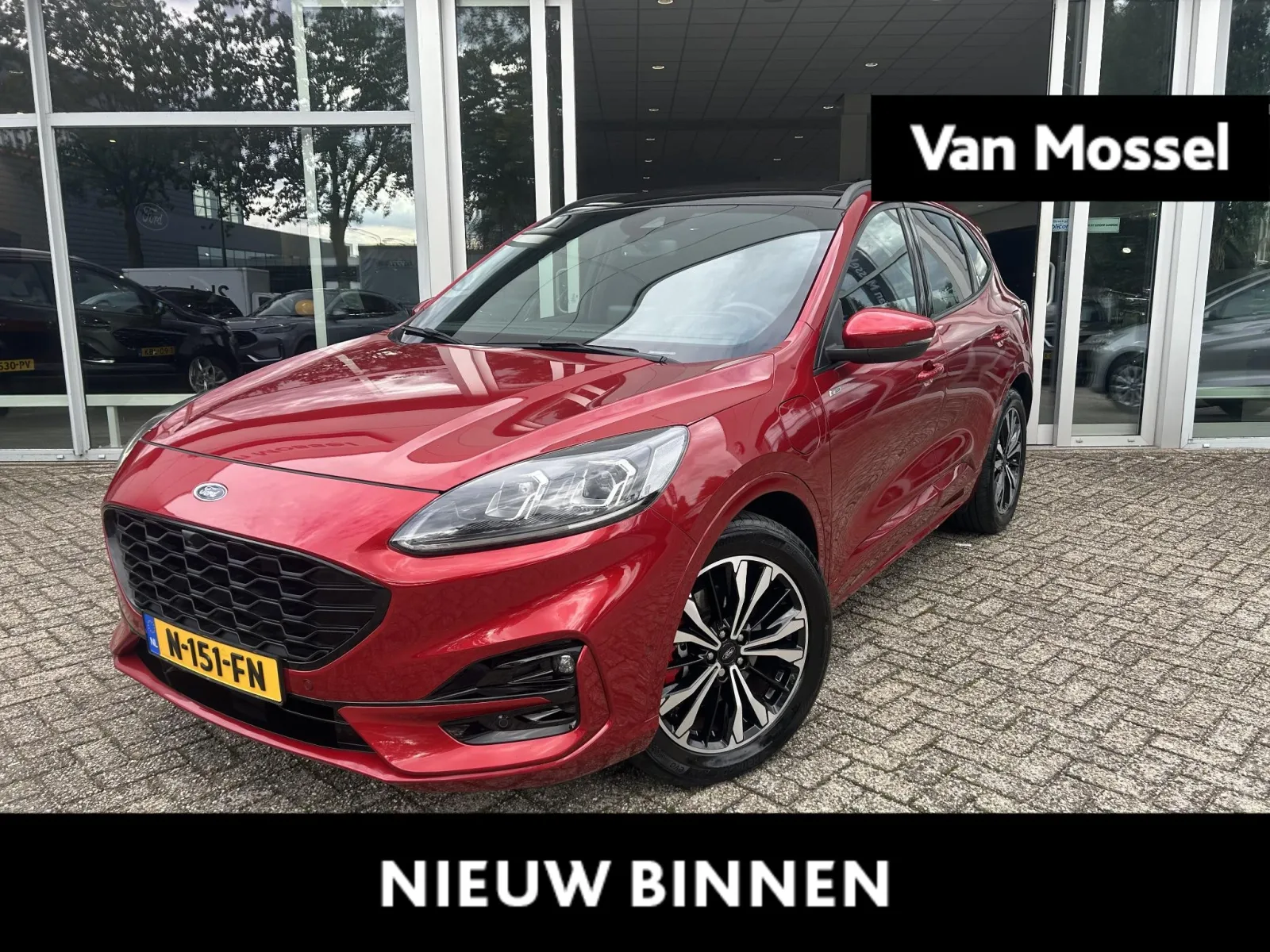 Ford Kuga (2020) — foto 1