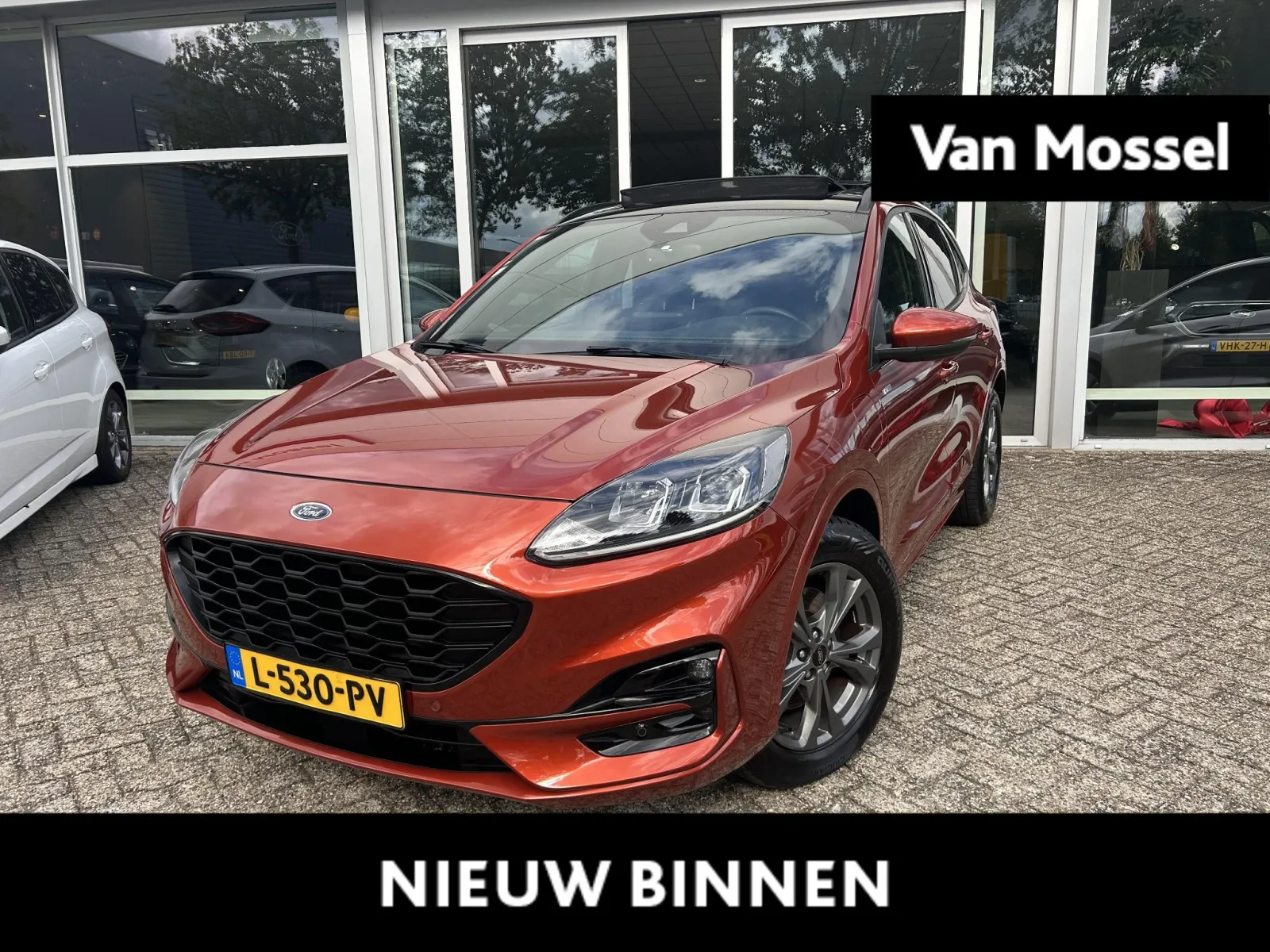Ford Kuga (2020) — foto 1