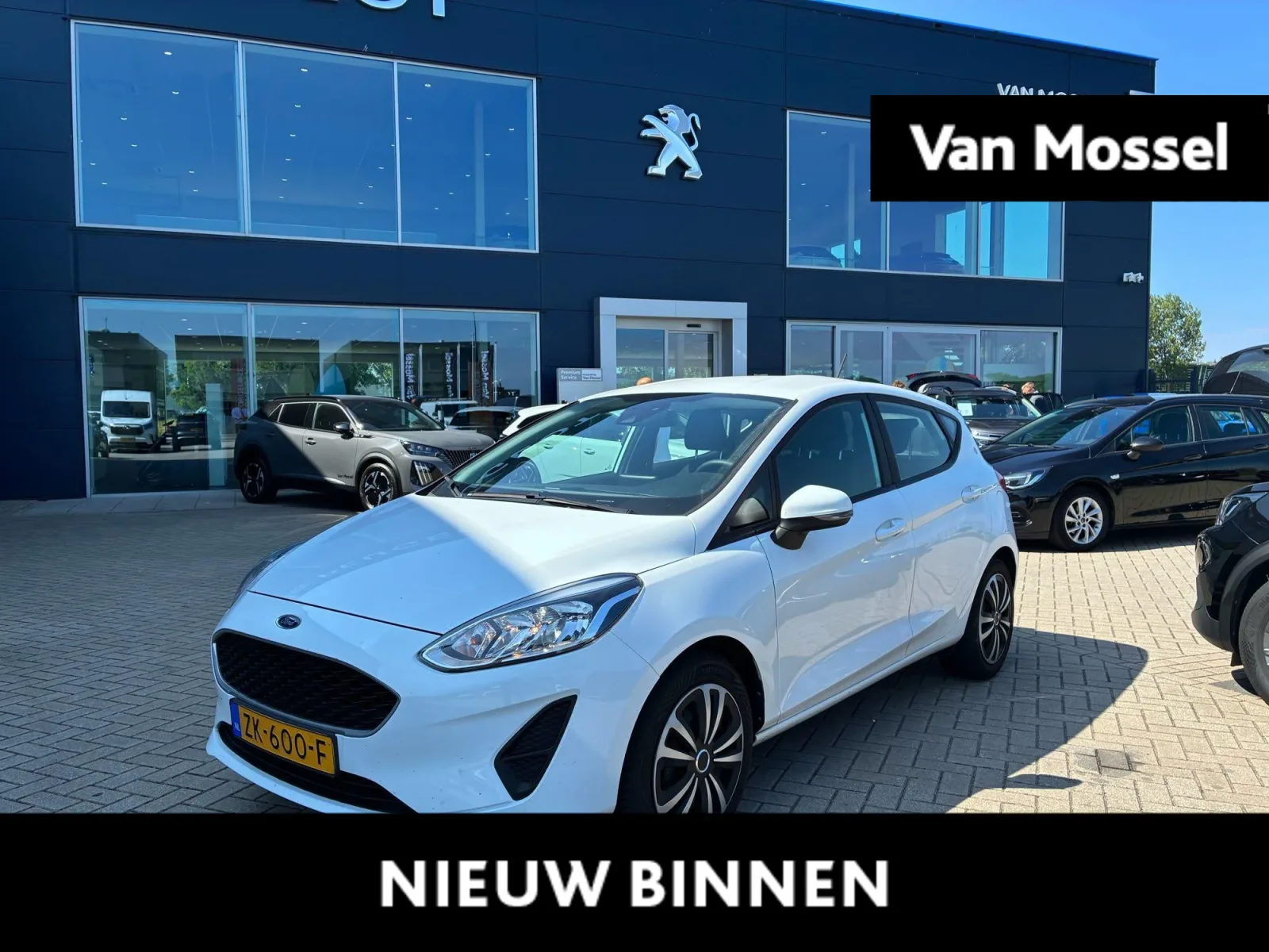 Ford Fiesta (2019) — foto 1