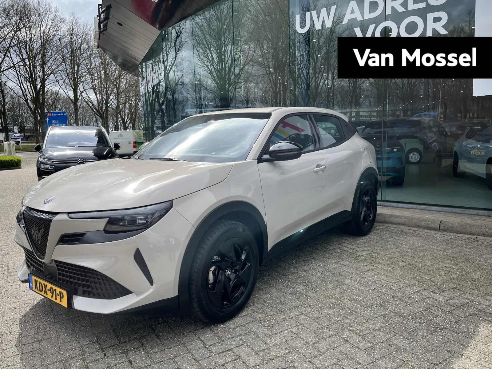 Alfa Romeo Junior (2025) — foto 1