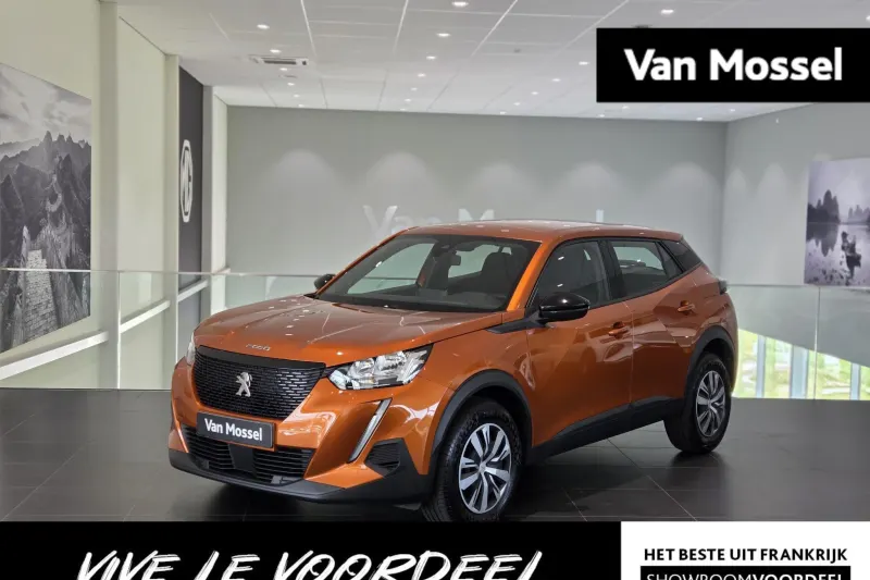 Peugeot 2008 (2021)