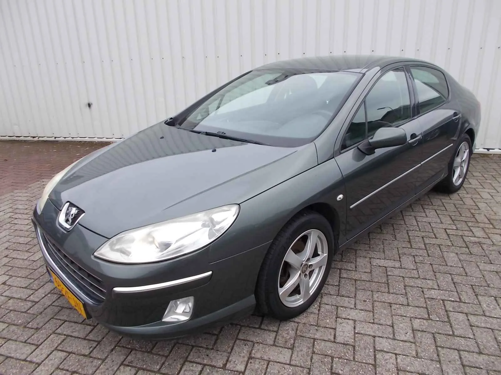 Peugeot 407 (2008) — foto 1
