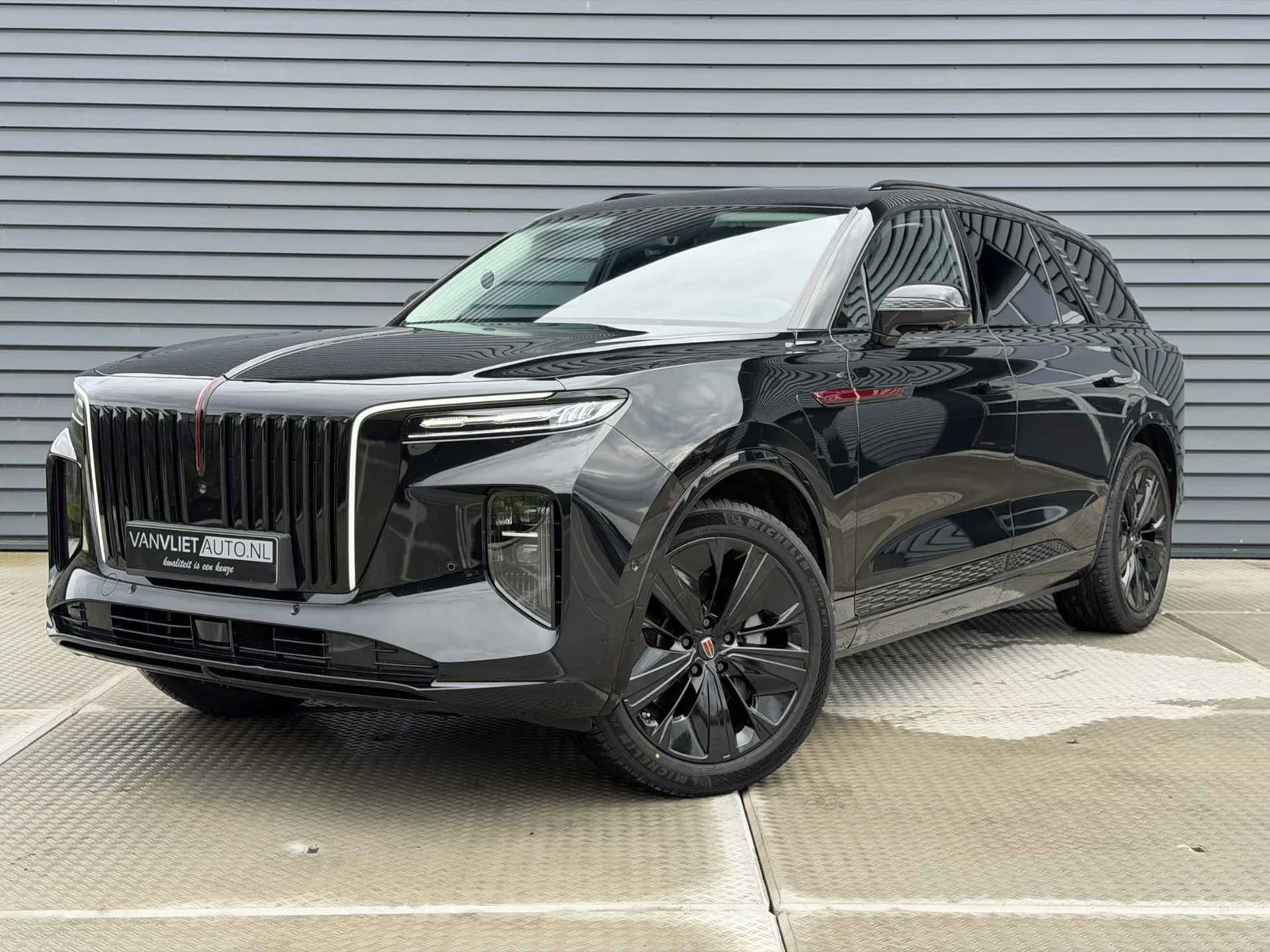 Hongqi E-HS9 (2023) — foto 1