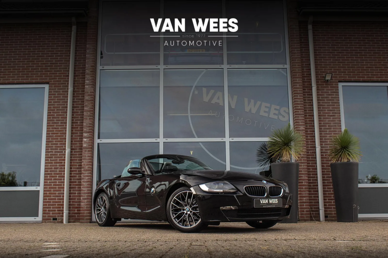 BMW Z4 (2008) — foto 1