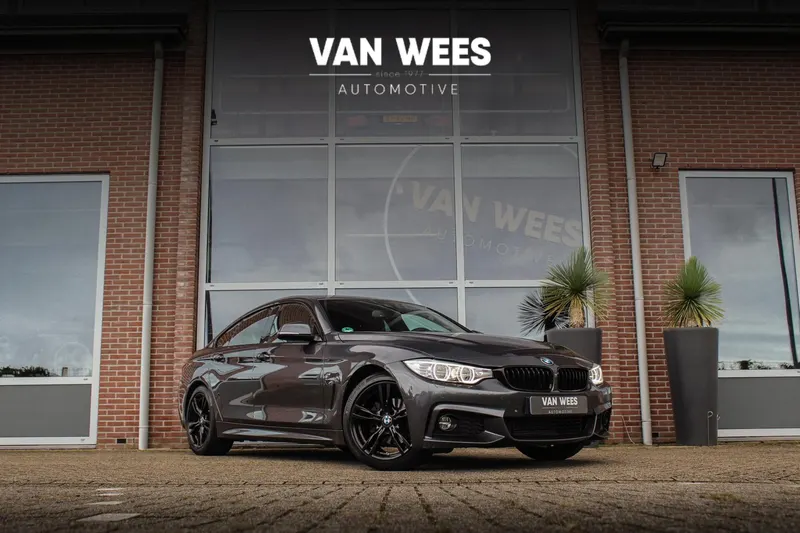 BMW 4-Serie Gran Coupé (2015)