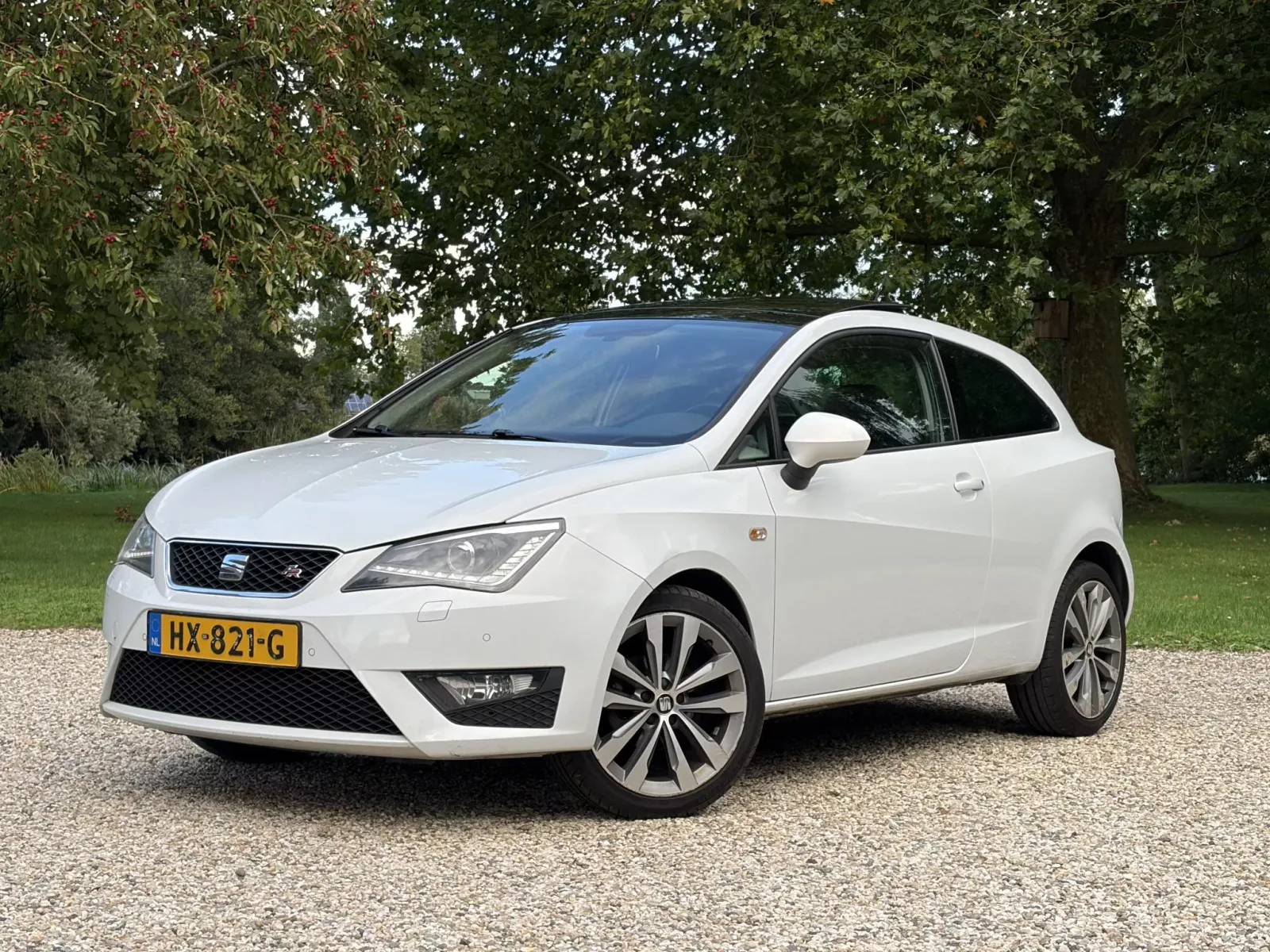 SEAT Ibiza (2015) — foto 1