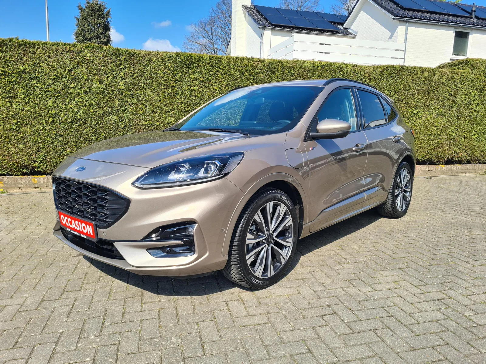 Ford Kuga (2020) — foto 1