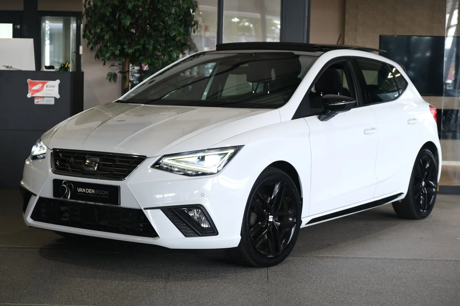 SEAT Ibiza (2023) — foto 1