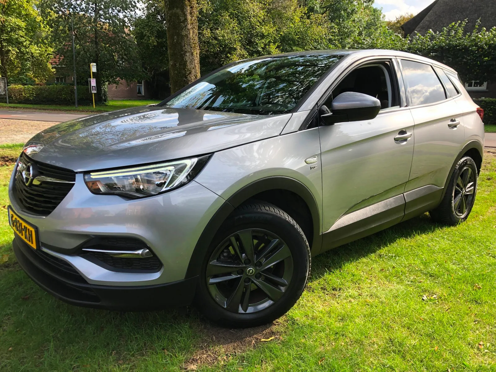 Opel Grandland (2019) — foto 1