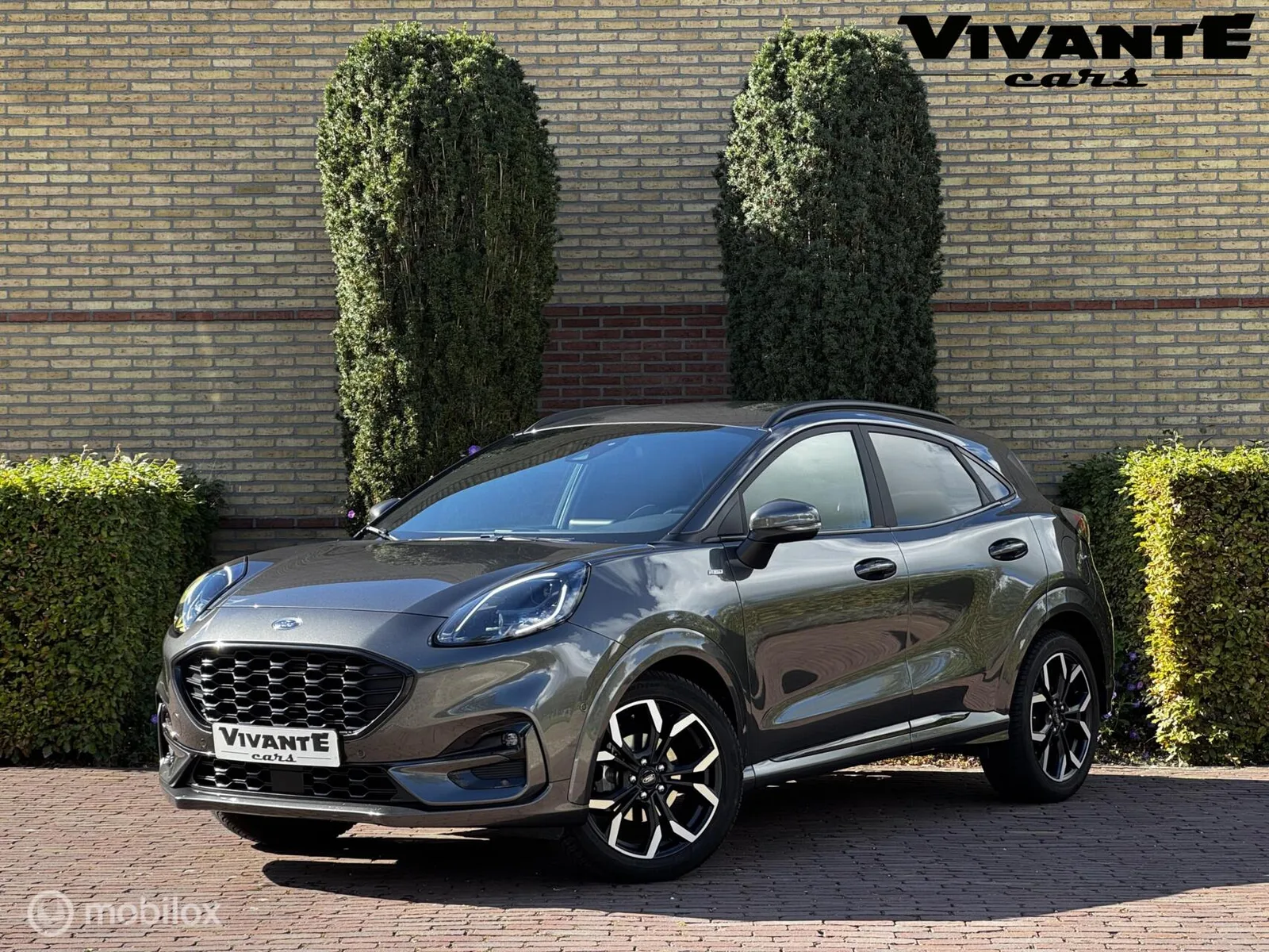 Ford Puma (2021) — foto 1