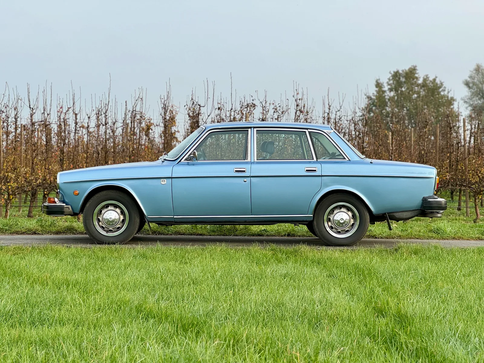 Volvo 164 (1974) — foto 1