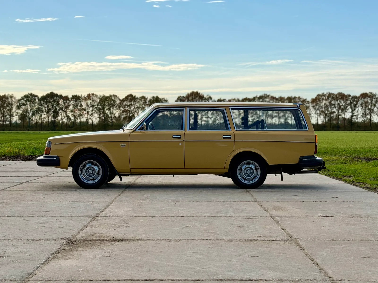 Volvo 245 (1979) — foto 1