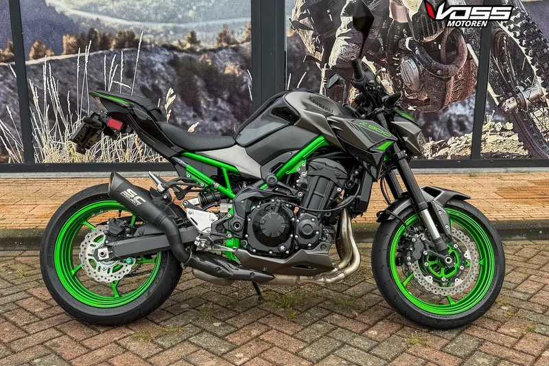 Kawasaki Z900 (2024)