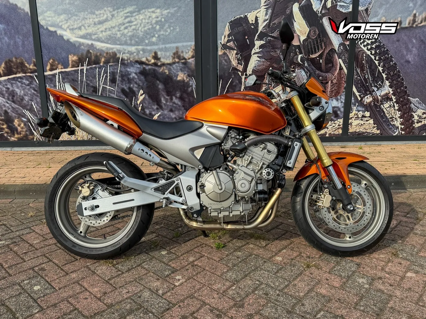 Honda CB 600 F Hornet (2006) — foto 1